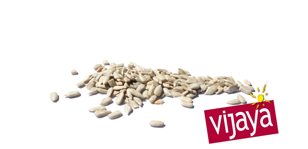 Graine de Tournesol - FRANCE - 25 kg - Bio*