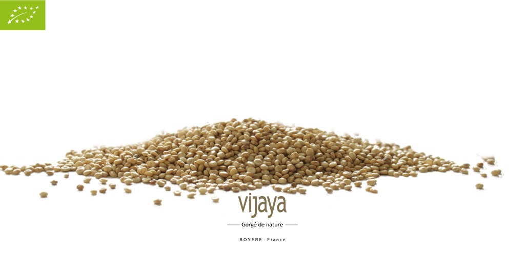 Graine de Quinoa - FRANCE - 25 Kg - Bio*