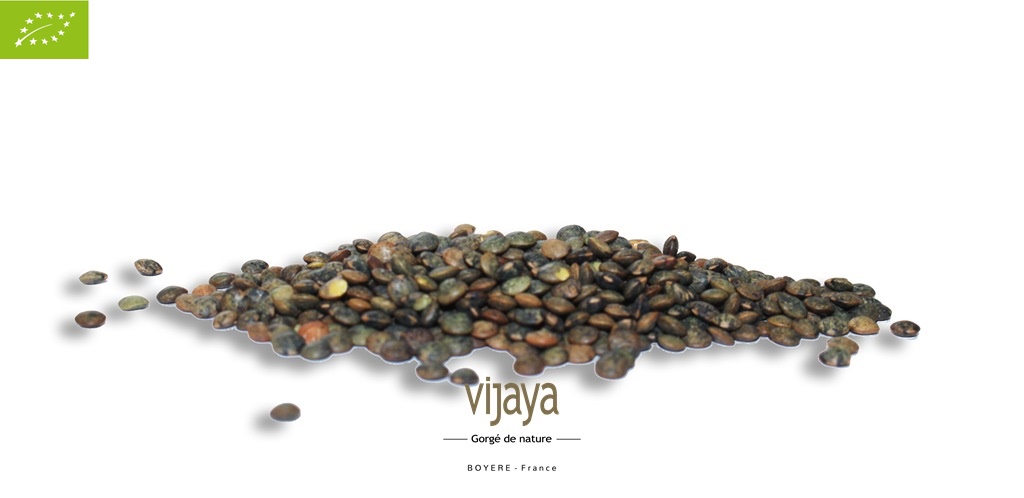 Lentille Verte - FRANCE - 5 kg - Bio*