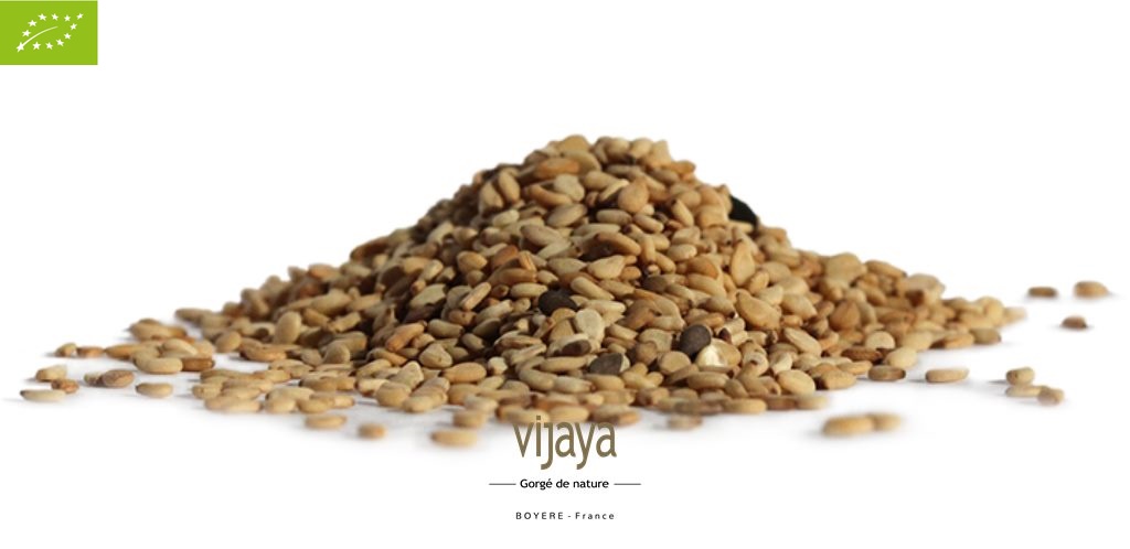 Graine de Sésame Blanc Complet Toastée - OUGANDA - 25 kg - Bio*