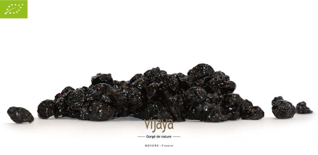 Myrtille Séchée Sauvage au Jus de Pomme-COEUR DES BALKANS-10x1kg-Bio*