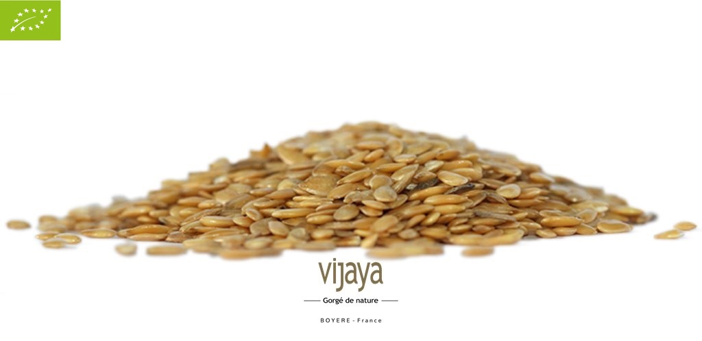Graine de Lin Doré - FRANCE - 5 kg - Bio*