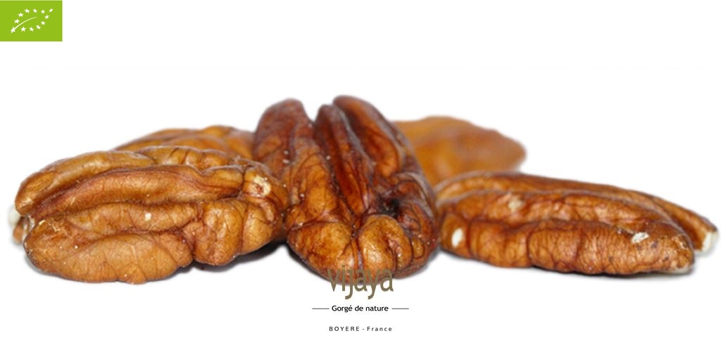 Noix de Pécan - Moitiés - AFRIQUE DU SUD - 2 x 5 Kg - Bio*