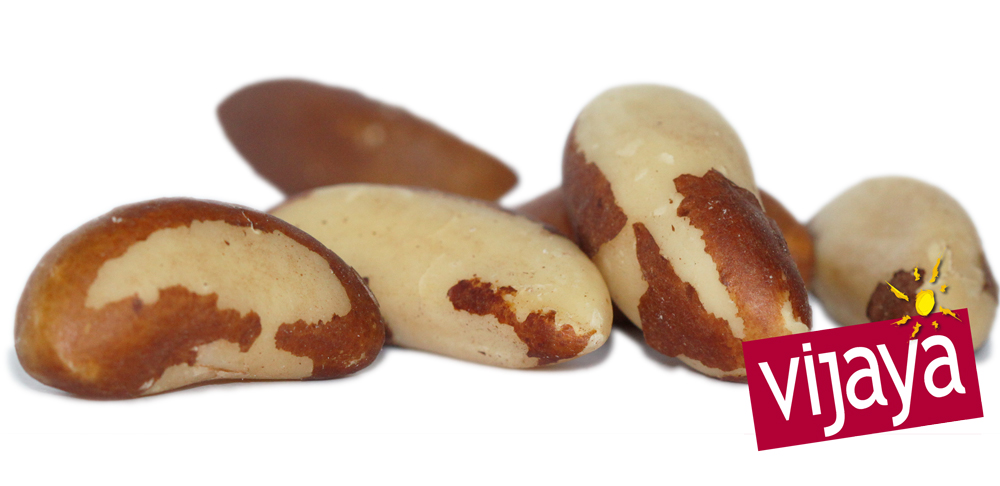 Noix du Brésil Décortiquée - BOLIVIE - 10kg - Bio* &amp; Equitable