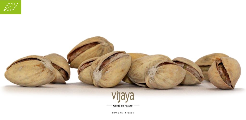 Pistache Coque Grillée Salée - ESPAGNE - 25 kg - Bio*