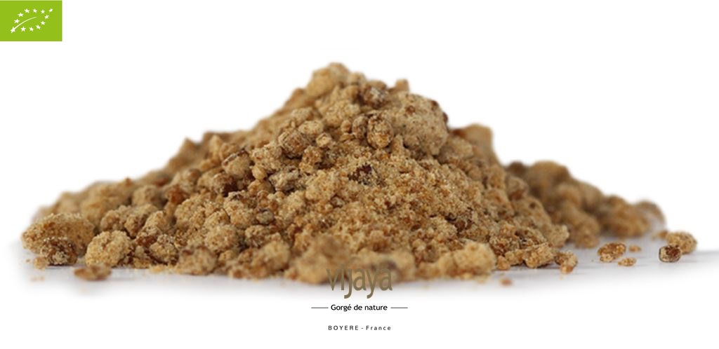 Sucre de Canne Complet RAPADURA - COSTA-RICA - 10 kg - Bio*